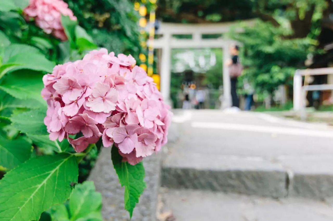 Villa Kamakura Kültér fotó